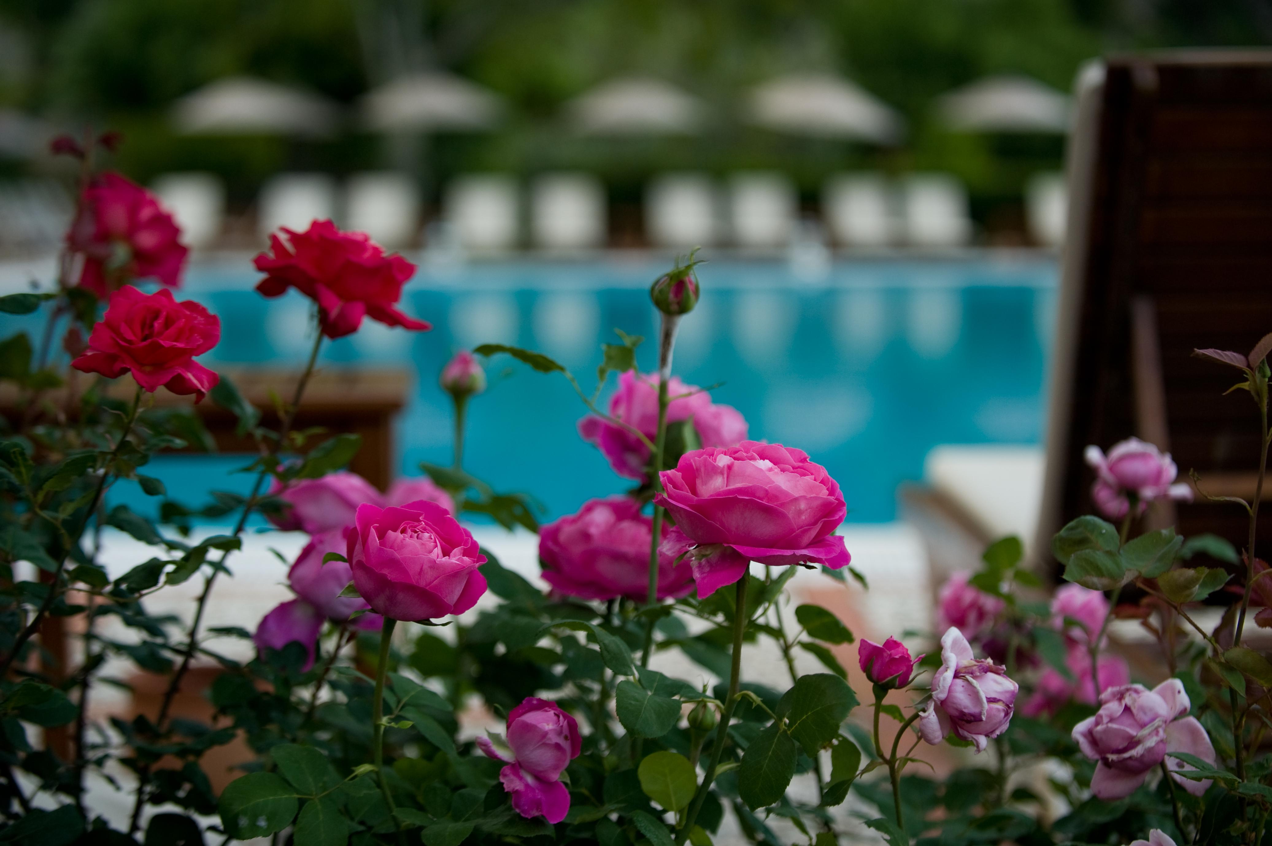 Dionysos Village Hotel Marmaris Turunç Luaran gambar